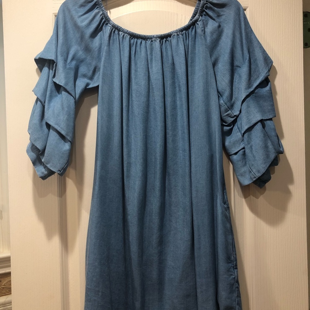 Denim ruffle sleeved dress